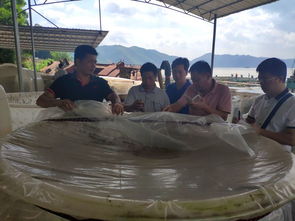 廣西自治區(qū)水產(chǎn)技術推廣總站率專家團隊到梧州調(diào)研水產(chǎn)養(yǎng)殖綠色發(fā)展情況