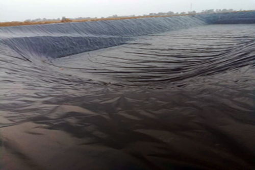 防滲復(fù)合土工膜制造商,土工膜市場(chǎng)價(jià)