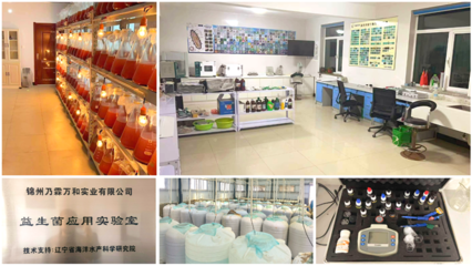 歸國學子的一往情&ldquo;參&rdquo;--記歸國學子郝景航和他養殖海參的創業故事