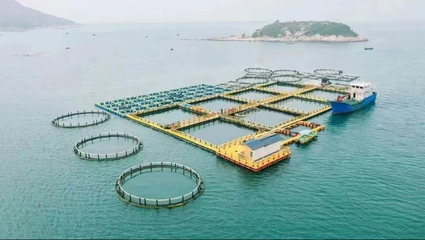 高水平建設&ldquo;深藍糧倉&rdquo; 農科集團擬投資20億元打造深遠海養殖平臺