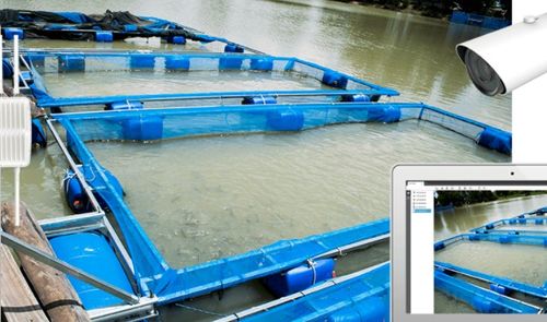 星縱智能lora解決方案在農業(yè)中的不同應用