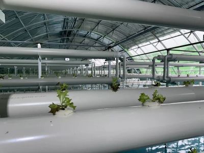 通遼市首家工廠(chǎng)化養(yǎng)魚(yú)項(xiàng)目落戶(hù)奈曼