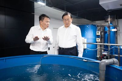 王忠林調(diào)研民營(yíng)企業(yè)發(fā)展并召開(kāi)座談會(huì)