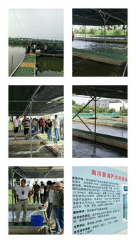 浙江武義職技校培訓(xùn)中心組織水產(chǎn)養(yǎng)殖班到嘉興湖州培訓(xùn)學(xué)習(xí)