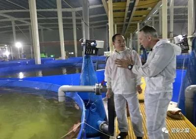 地產(chǎn)大亨轉(zhuǎn)身成為現(xiàn)代漁夫