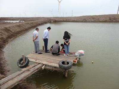 &ldquo;玻化癥&rdquo;突襲對蝦產業 黃海所專家赴一線排憂解難
