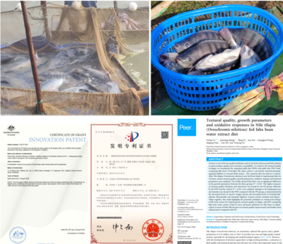 中國(guó)水產(chǎn)科學(xué)研究院珠江所養(yǎng)殖室團(tuán)隊(duì)研發(fā)成果助推脆肉羅非魚產(chǎn)業(yè)發(fā)展