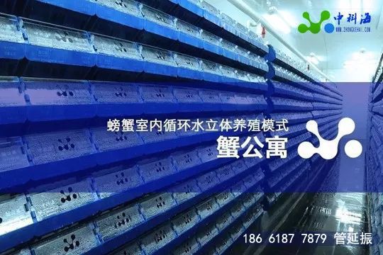 4月，這些先進的養殖設備和技術將集體亮相廈門 | ‘金磚’水產盛會邀請函