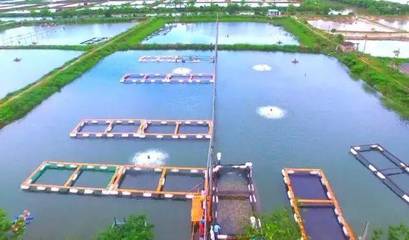 喜訊！斗門8家企業(yè)榮登省級水產(chǎn)養(yǎng)殖榜單，實(shí)力彰顯產(chǎn)業(yè)新高度